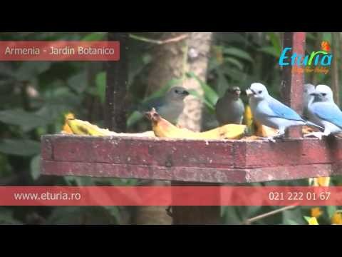 Armenia - Jardin Botanico - Gradina Botanica - Eturia Romania