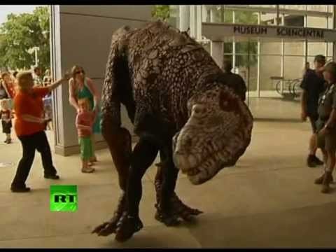 Dinosaurs in Australia: Fright at the Museum
