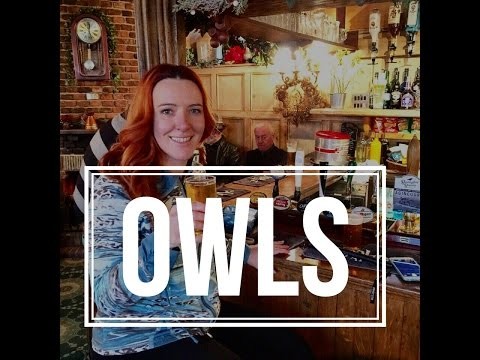 Vlogmas Day 12 - Buying Owls - Vlogging from England.