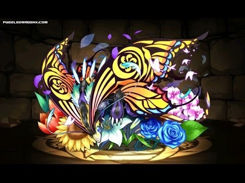 Vibrant Butterfly Dragon Swallowtail Ultimate Evo Fusion