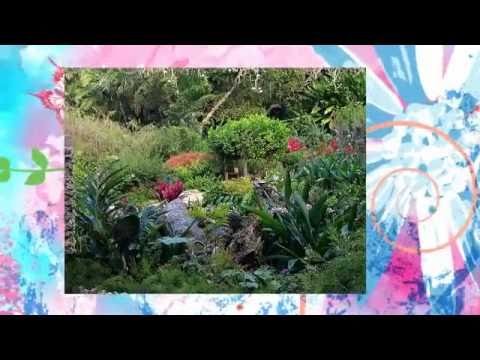 Andromeda Gardens, Barbados