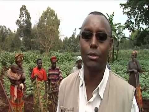 FAO: Stabiliser le Burundi rural UN FAO