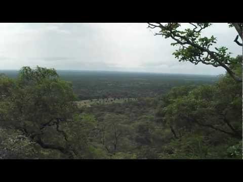 View of the African Bush