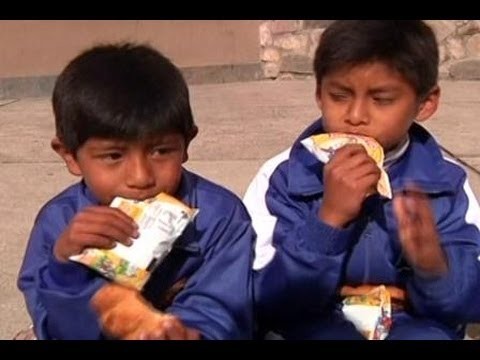 Penggemar Bir Bolivia Kini Menggemari Susu