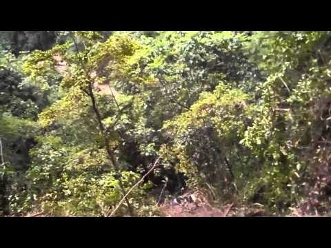RAW! Bus Accident In Bolivia (Bus Falls Off Bolivias Death Road Cliff!)