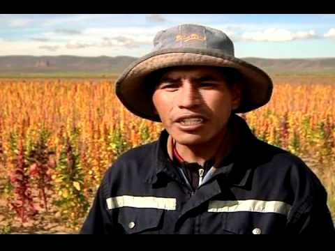 PKG Bolivia Quinua