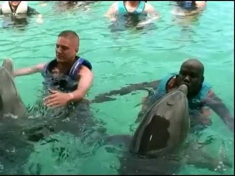 BAHAMAS  - Dolphin Encounters