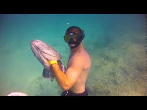 Bahamas Spearfishing \Real Primitive Hunting\