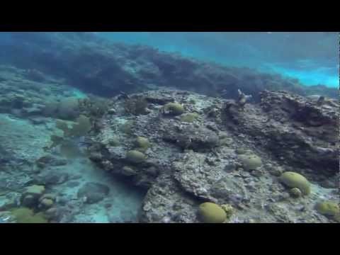 Snorkeling & SCUBA Diving in the Caribbean - 2012