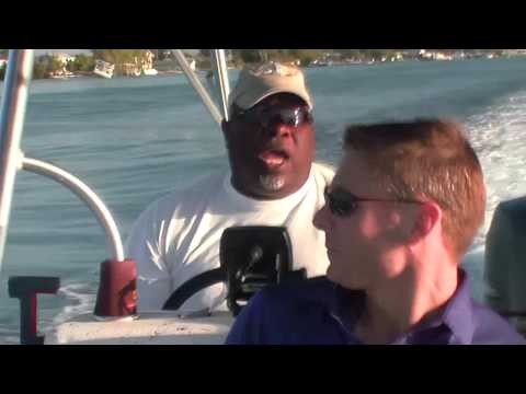 Our Trip to Bahamas - Bimini Dolphin Swimming