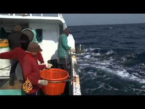 Kristal Fishing Reels - Fishing the Bahamas