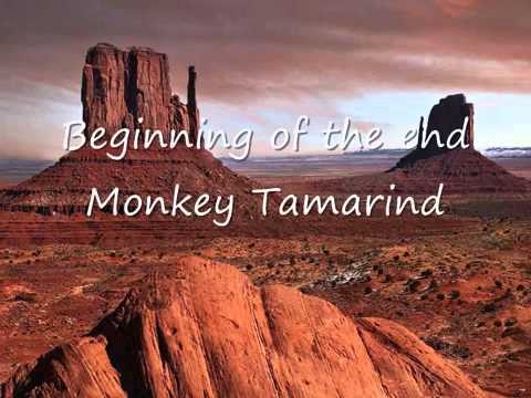 Monkey Tamarind  Beginning of the End