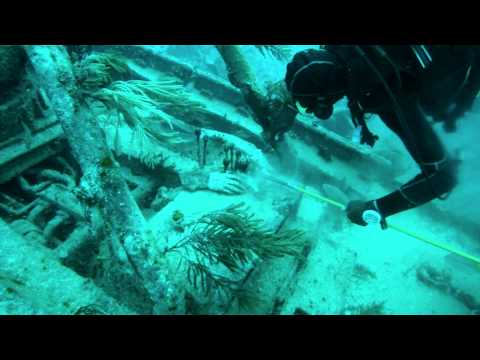 Diving Bahamas Shark Alley
