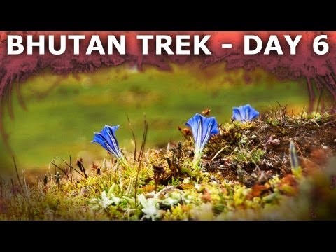 Bhutan Hiking Vlog: Lingshi - Laya - Gasa Trek Day 6