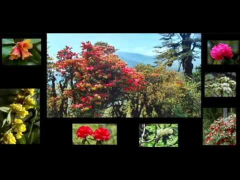 ä¸ä¸¹ Bhutan à½ à½–à¾²à½´à½‚ ~ In Harmony with Nature