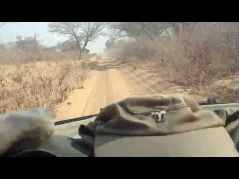 Hallelujah Botswana trip 2012