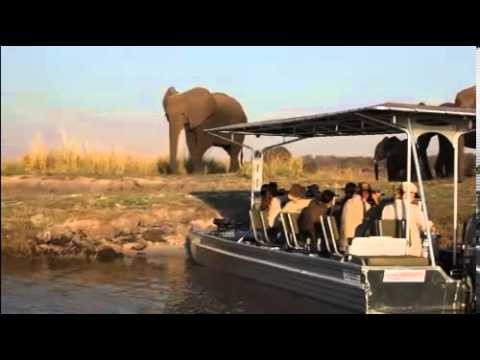 Photo Safari in The Chobe