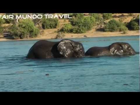 Chobe rivier met spelende olifanten