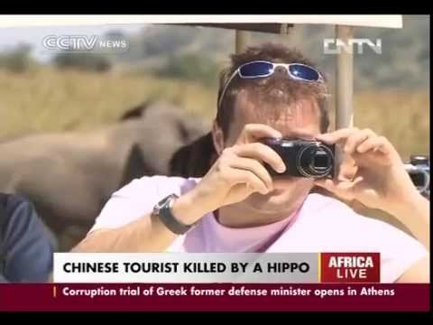 Hippo killed tourist.