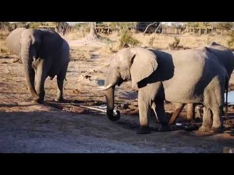 Elephant Sands (Botswana)