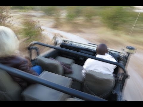 Wild Eye - Private Guided Safari Botswana