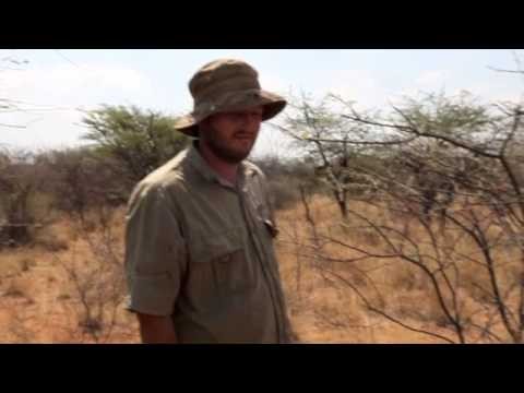 Jackals * Sheep * Farmers : Botswana