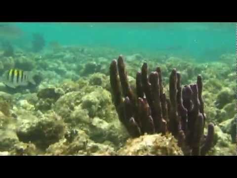 Travel for Kids | Belize Barrier Reef