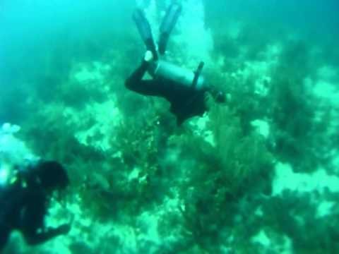 Spearing Lion Fish in Belize