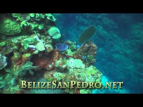 Diving with Coral Divers Belize staying at Nirvana San Pedro Beach House