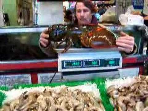 worlds biggest lobster!