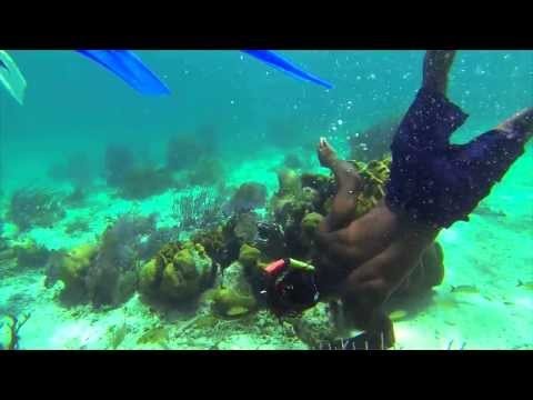 Snorkeling in Belize (Gopro)