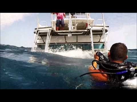 Adaptive SCUBA Divers Ambergus Caye Belize 2014