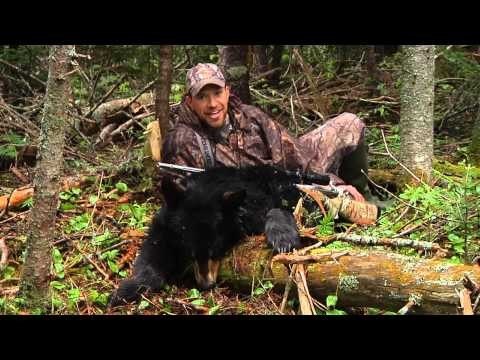 Canadian Black Bear Hunt | Right to Bear Arms