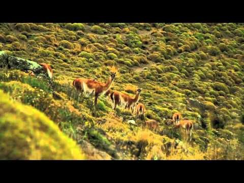 AysÃ©n tambiÃ©n es Chile - video 1