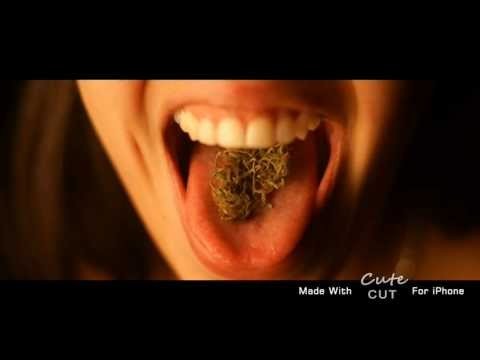 Legalicemos La Marihuana