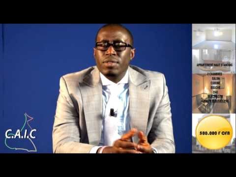C.A.I.C - Conseil en Affaires et Investissements au Cameroun