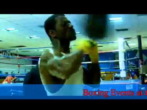 Cameroonian Boxer in USA