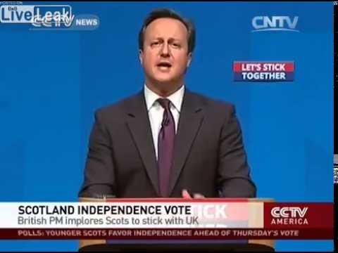 Cameron desperately begs Scotland to stick with UK