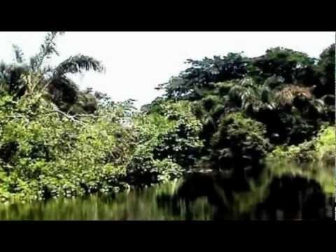 Costarica viaggio fluviale.mpg