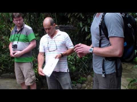 06-Costarica Montaverde prijezd a Orchideje