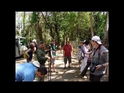 03-Costarica Suchej prales pred Quepos