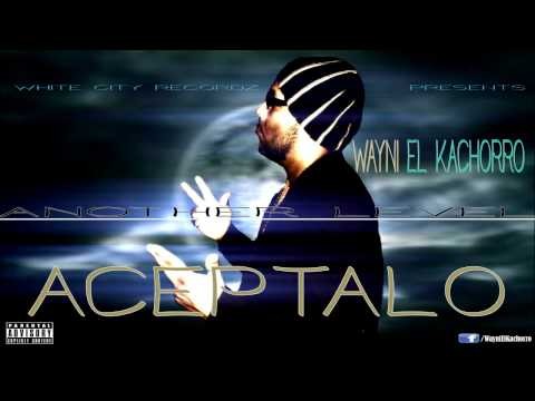 Wayni_ El Kachorro - Aceptalo  ( W. C .R ) HD