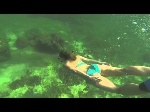 Short Promo Underwater Clip using go pro.mov