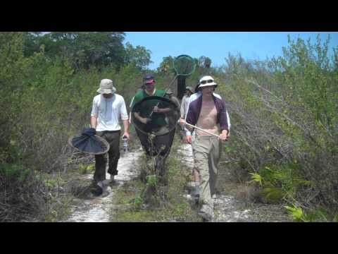 UWE Cuba (HD Edit) - Tropical Forest and Coral Reef Research Expedition