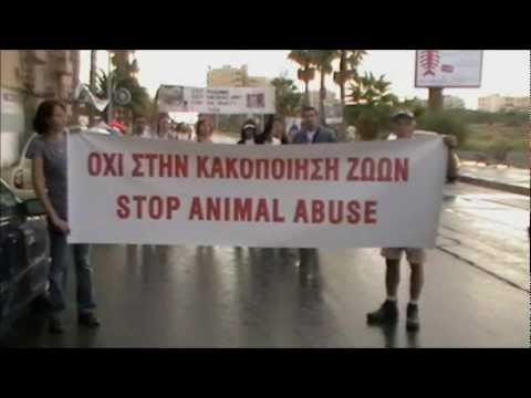 Animal Welfare in Cyprus 2012. Is it really that bad ?