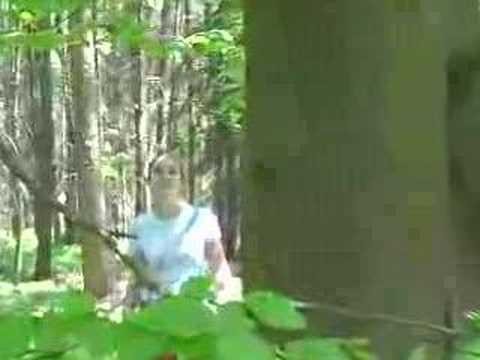 Climbing a tree in Kuks