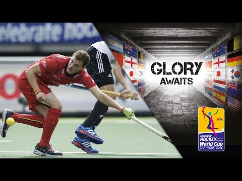 Belgium vs Germany - Men's Rabobank Hockey World Cup 2014 Hague 6th/5th Pla