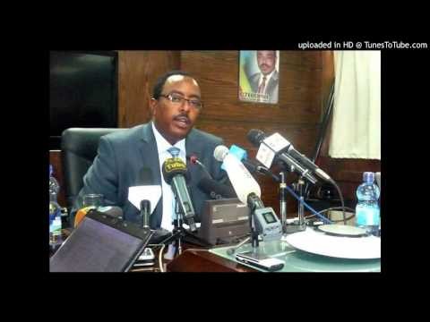 Fana 98.1 Ato Redwan Hussien Talks about Ethiopians in South Africa