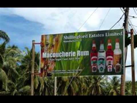 Responsible tourism in Dominica