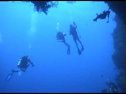 Scuba Diving - Isla Saona Dominica Republic.mov